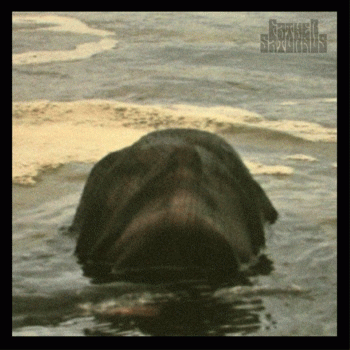 Father Saturnus : Knivar